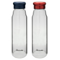 Tragbare Wasser-Glasflasche mit Schutztasche 470ml